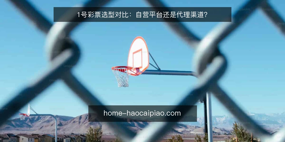 1号彩票选型对比：自营平台还是代理渠道？ — 为什么现在需要重新审计渠道模式 配图
