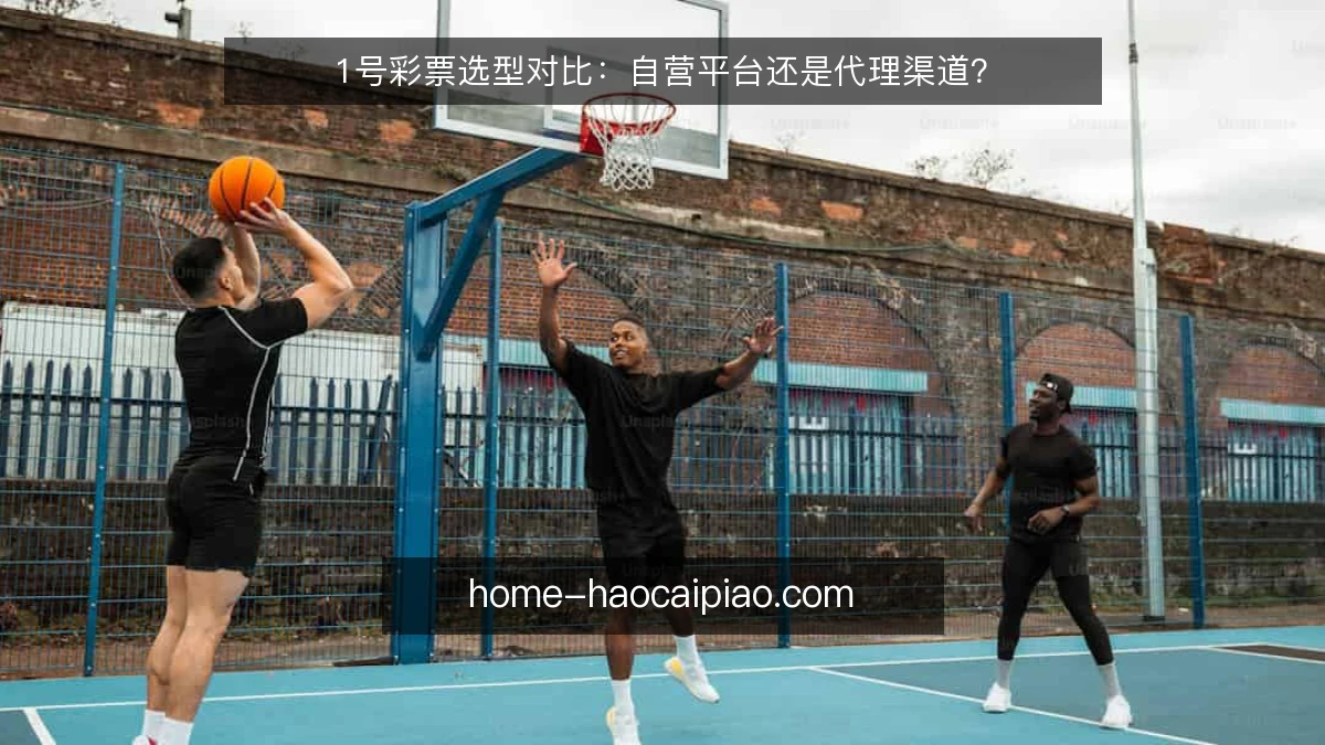 1号彩票选型对比：自营平台还是代理渠道？