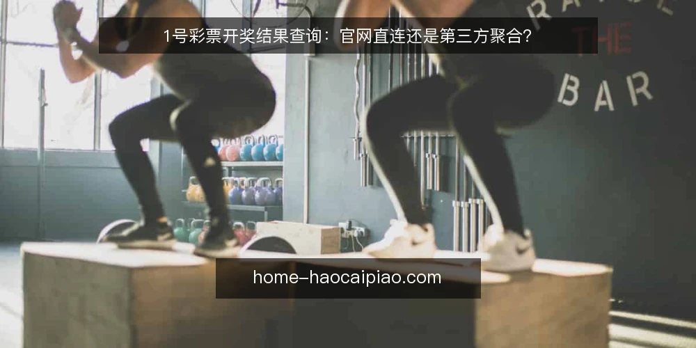 1号彩票开奖结果查询：官网直连还是第三方聚合？ — 选择查询渠道的核心判断标准 配图