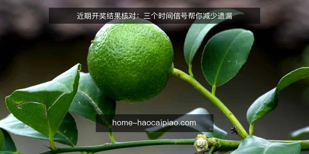 近期开奖结果核对:三个时间信号帮你减少遗漏 — 先固定核对基准时间 配图