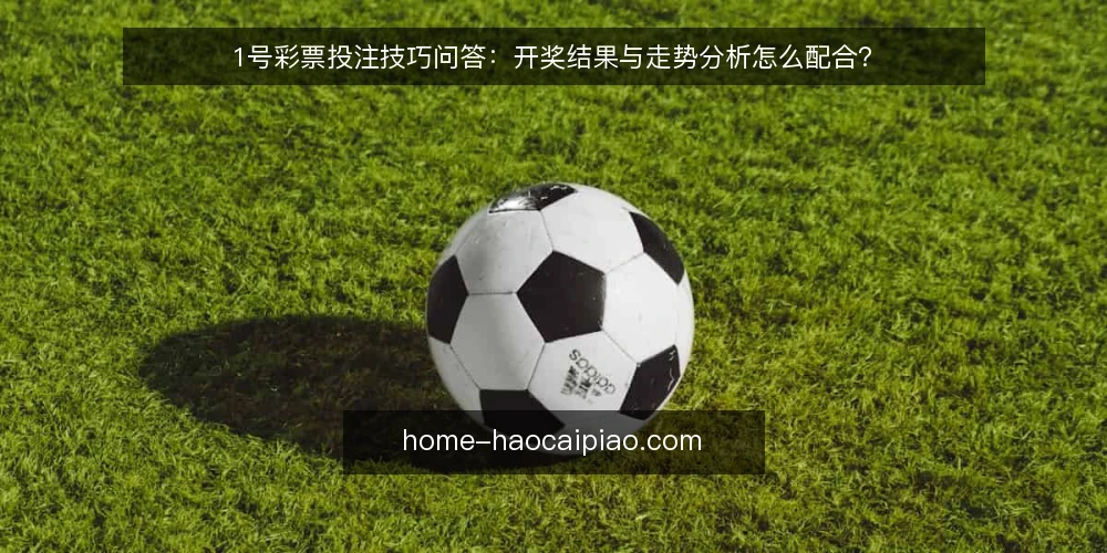 1号彩票投注技巧问答:开奖结果与走势分析怎么配合? — 投注前先做什么准备? 配图