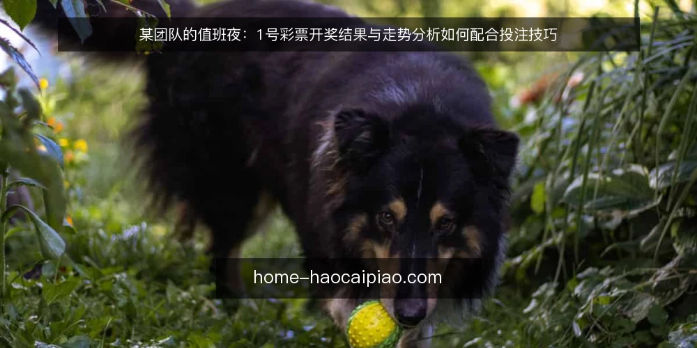 某团队的值班夜:1号彩票开奖结果与走势分析如何配合投注技巧 — 值班室的场景与手头约束 配图