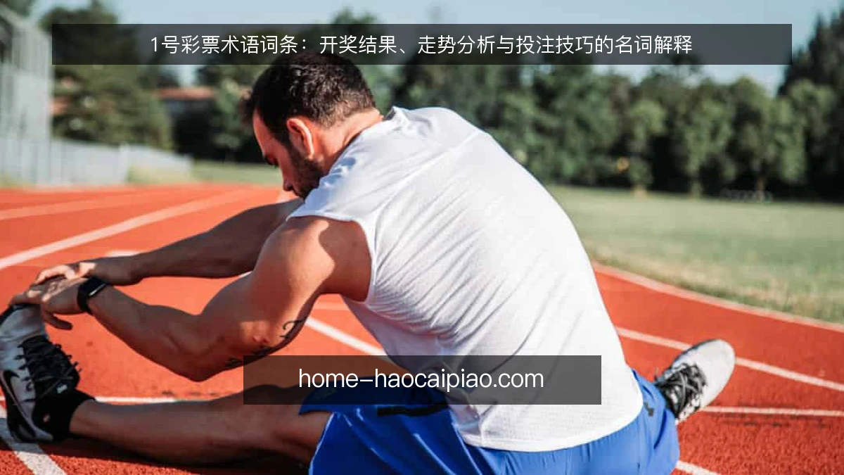 1号彩票术语词条：开奖结果、走势分析与投注技巧的名词解释